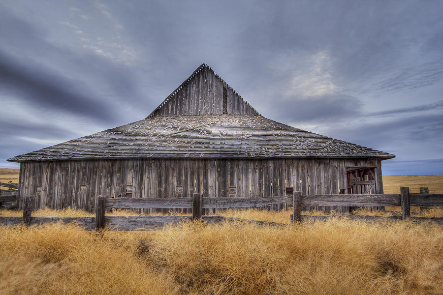 Aging Gracefully in Wasco County Photograph by Jean Noren