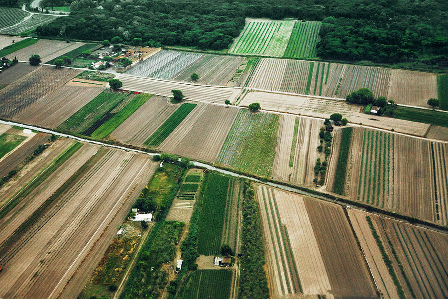 Agricultural Fields In Viladecans Photograph by Am2photo