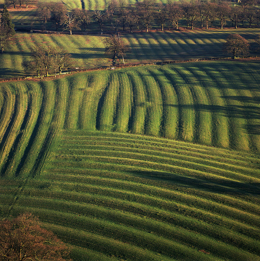 Agricultural Fields Photograph by Skyscan/science Photo Library
