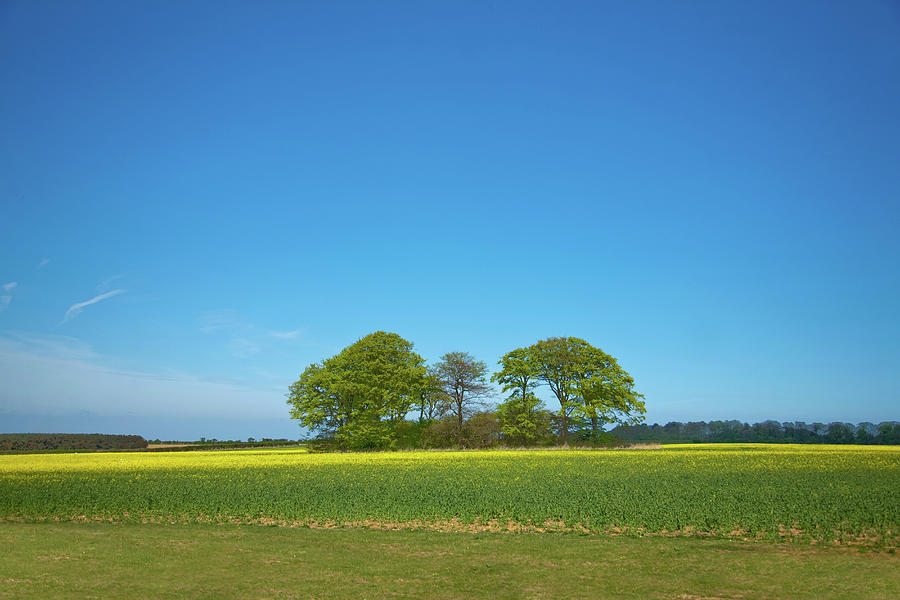 Agricultural Landscape, Norfolk, Uk Photograph by Seb Oliver Agricultural Landscape, Norfolk, Uk Photograph by Seb Oliver
