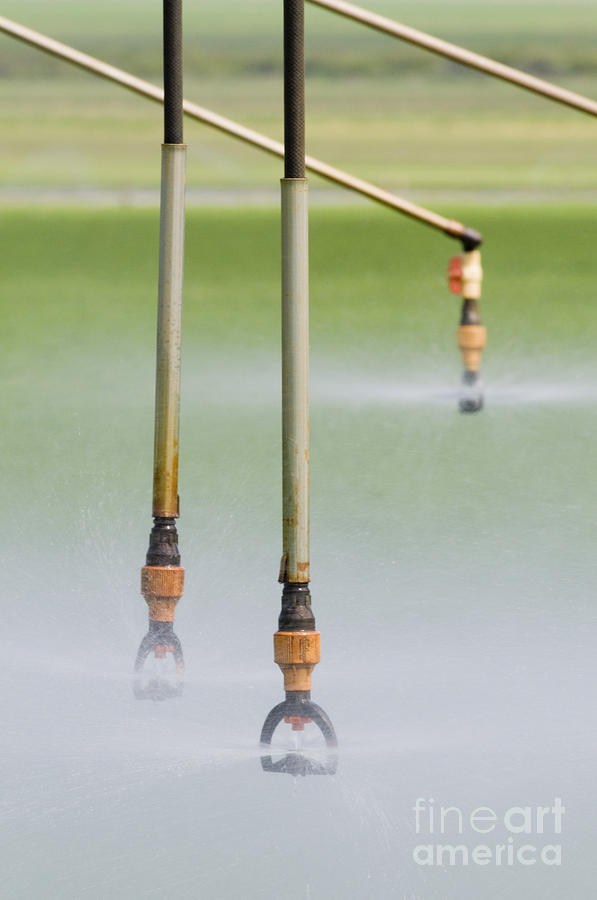 Agricultural Sprinkler Irrigation Photograph by William H. Mullins