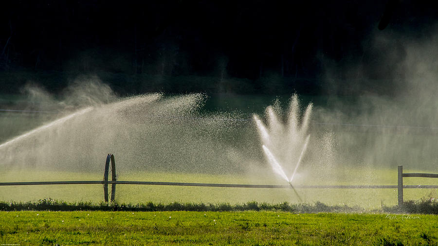 Agricultural Sprinklers in the Sun Photograph by Mick Anderson