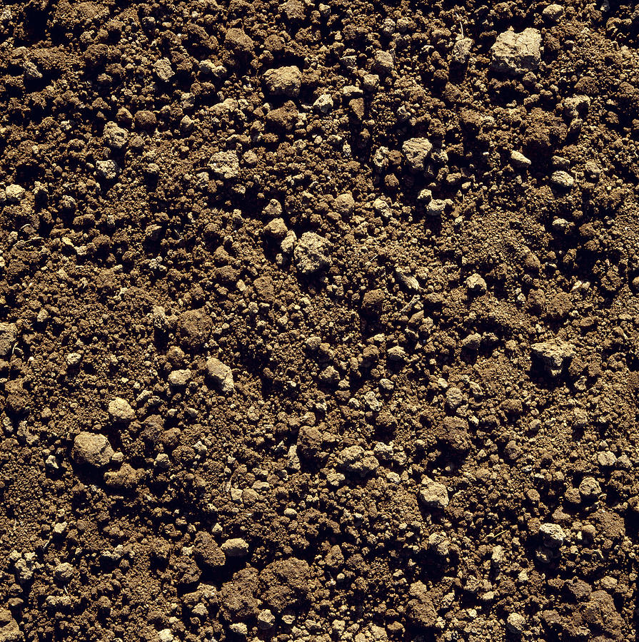 Agriculture - Closeup Of Clay Soil Photograph