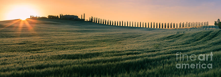 Agriturismo Poggio Covili - Tuscany - Italy Photograph by Henk Meijer Photography