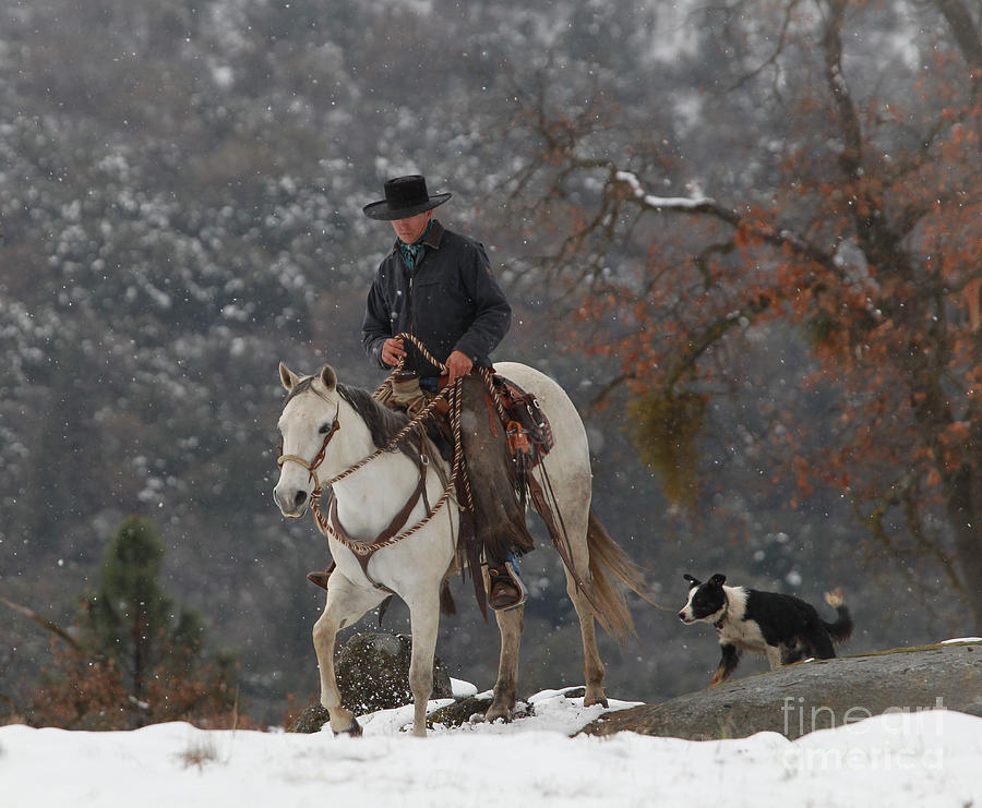 Ahwahnee Cowboy Photograph by Diane Bohna