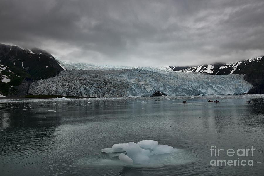 Aialik Glacier Photograph by David Arment