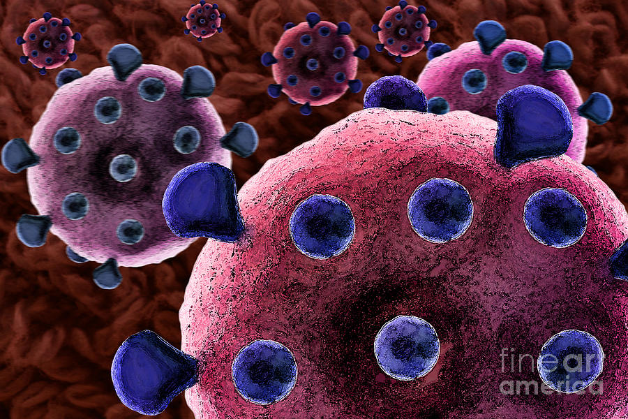 Aids Virus, Artwork Photograph by Sigrid Gombert
