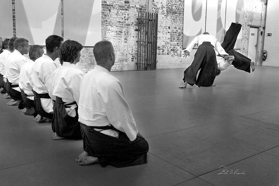Aikido Demonstration Photograph by Frederic A Reinecke