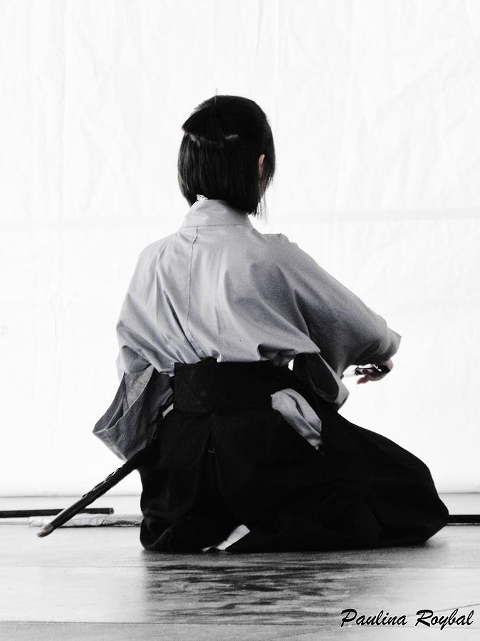 Aikido Photograph by Paulina Roybal