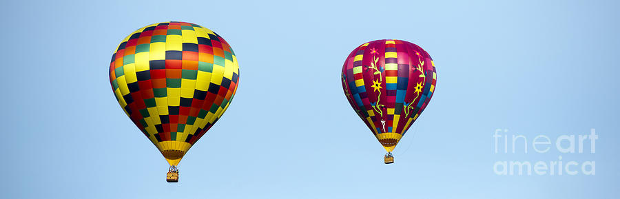 Air Balloons  0208 Photograph
