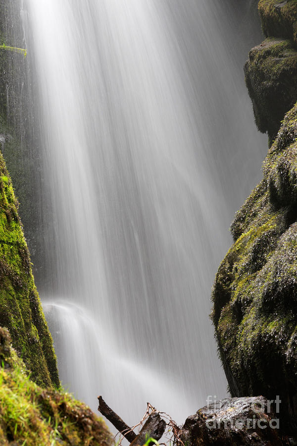 Waterfall Photograph - Aira Force Lake District by Louise Heusinkveld