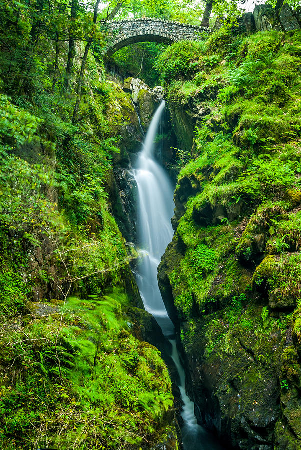Aira Force Waterfall Photograph by David Ross