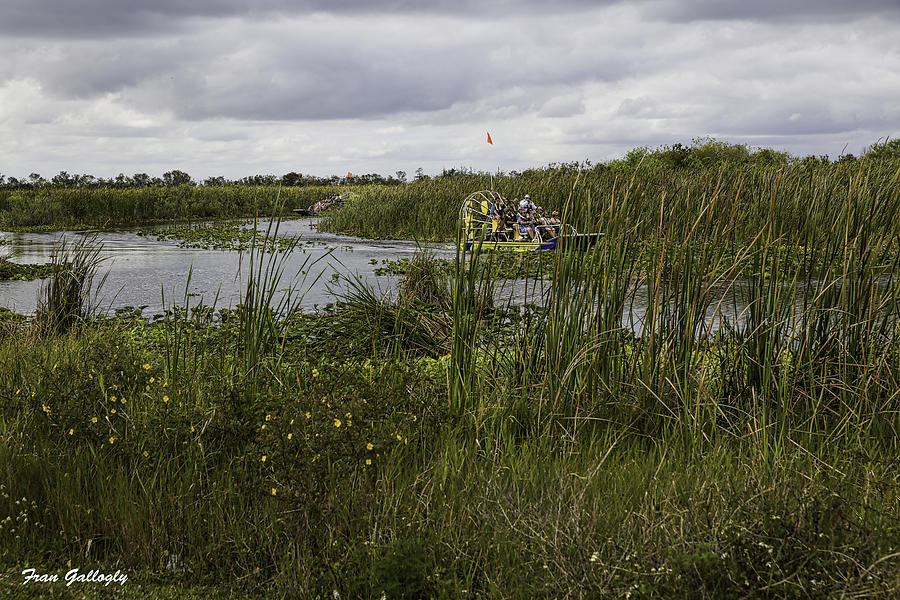 Airboat Round the Bend Photograph by Fran Gallogly
