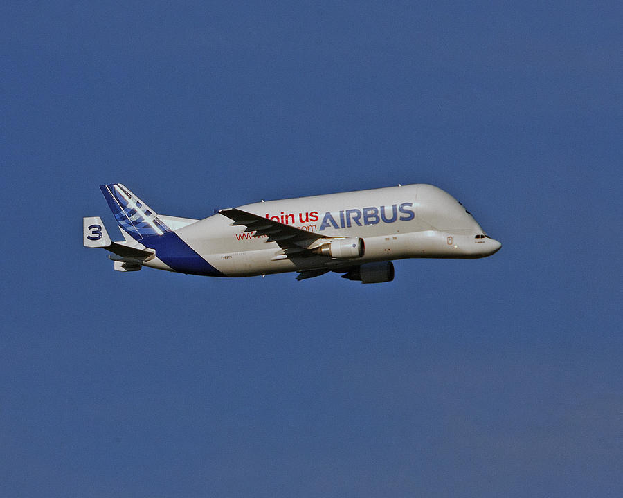 Airbus A300-600ST Photograph by Paul Scoullar
