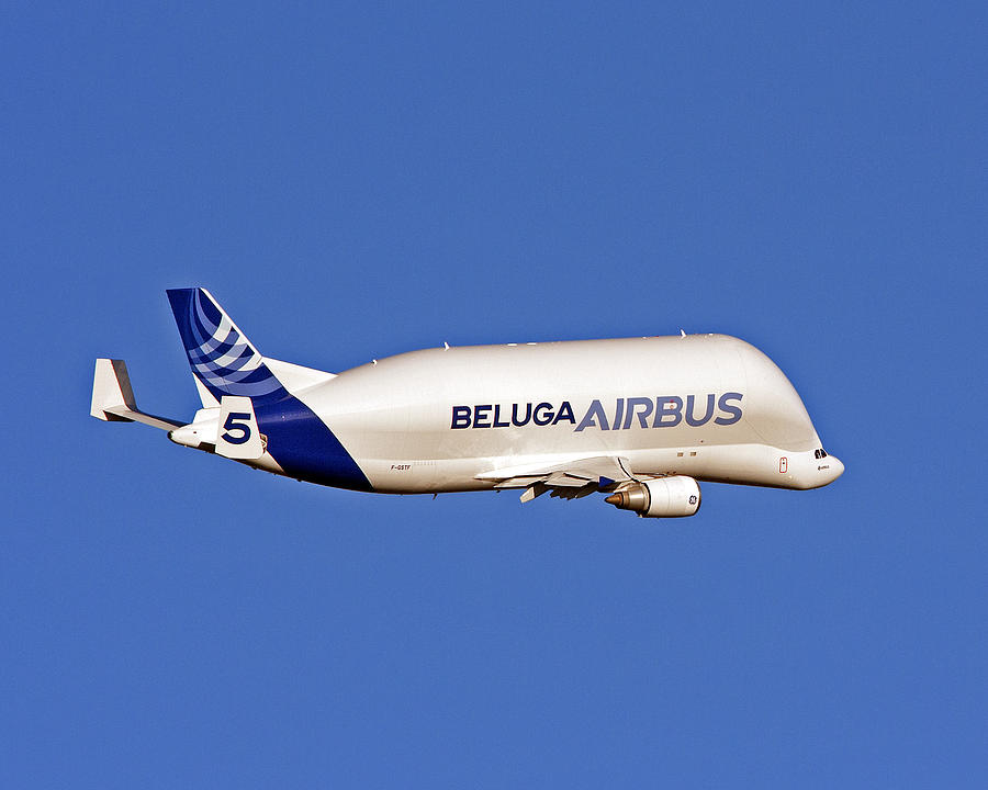 Airbus Beluga Photograph by Paul Scoullar