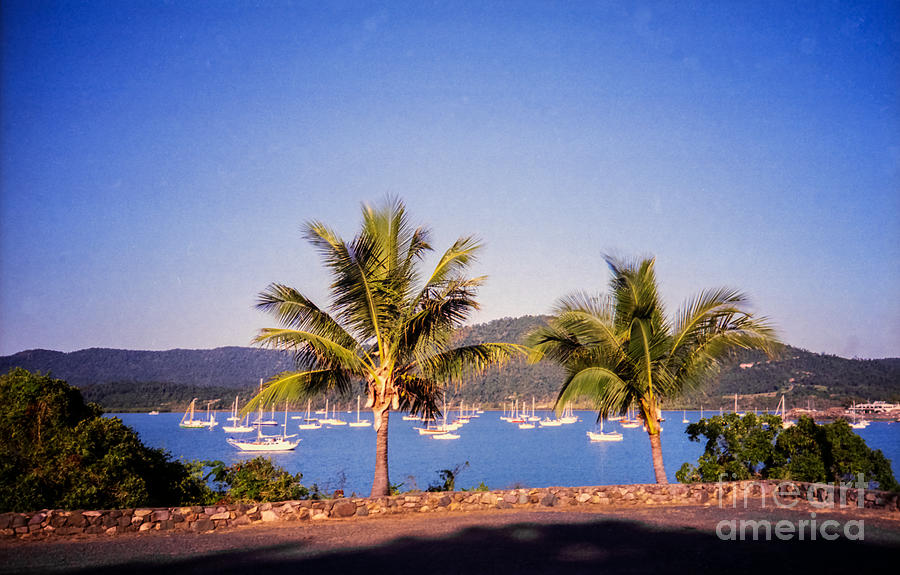 Airlie Beach Photograph by Suzanne Luft