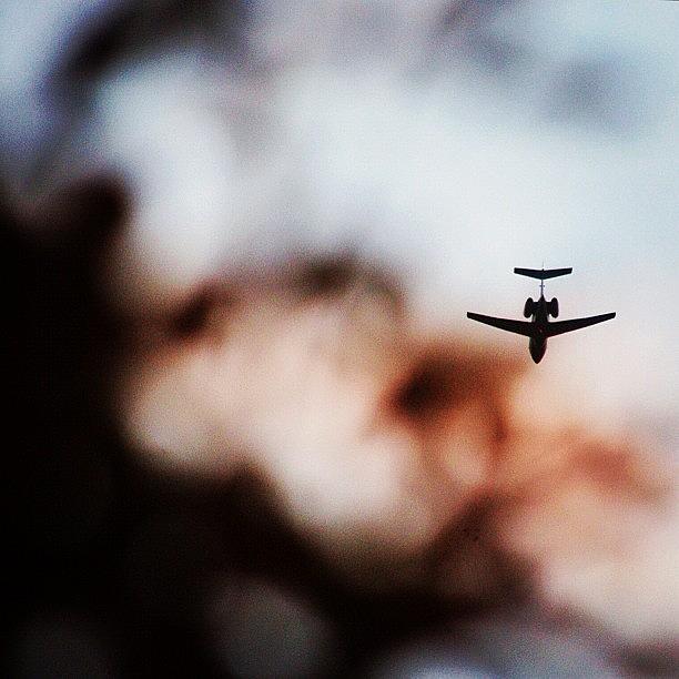 Tree Photograph - Airplane by Nao Kato