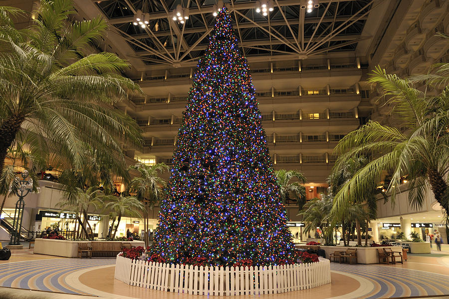 Airport Christmas tree Photograph by Bradford Martin