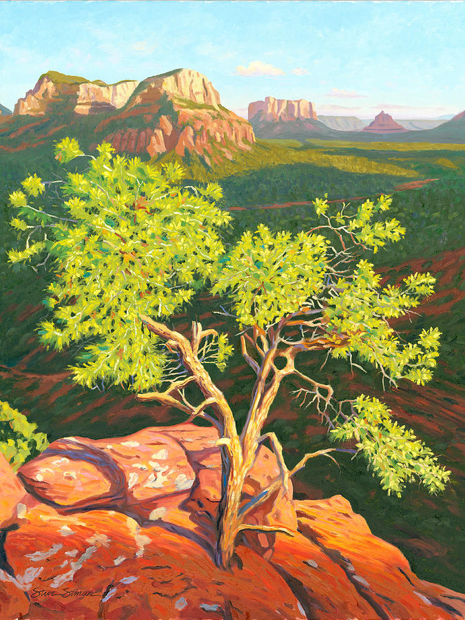 Pinion Pine Tree Painting - Airport Mesa Vortex - Sedona by Steve Simon