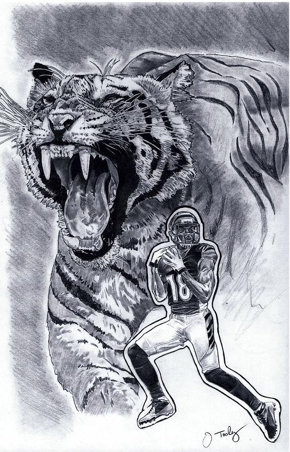 Aj Green Cincinnati Bengals Art Poster