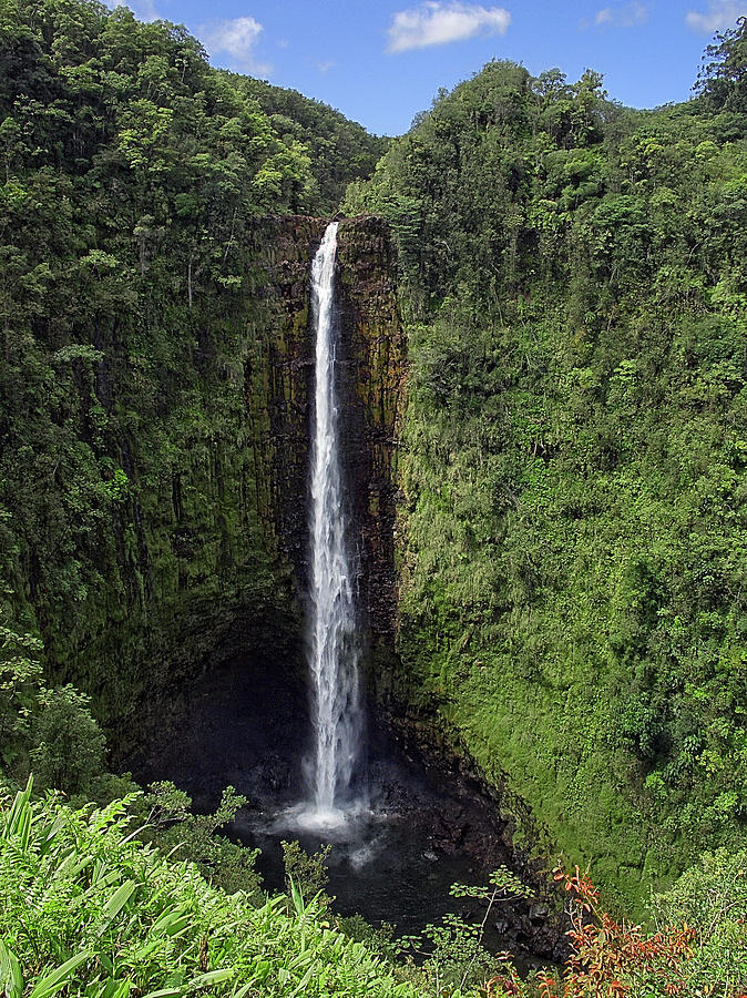 Akaka Falls - Big Island Hawaii Photograph by Daniel Hagerman