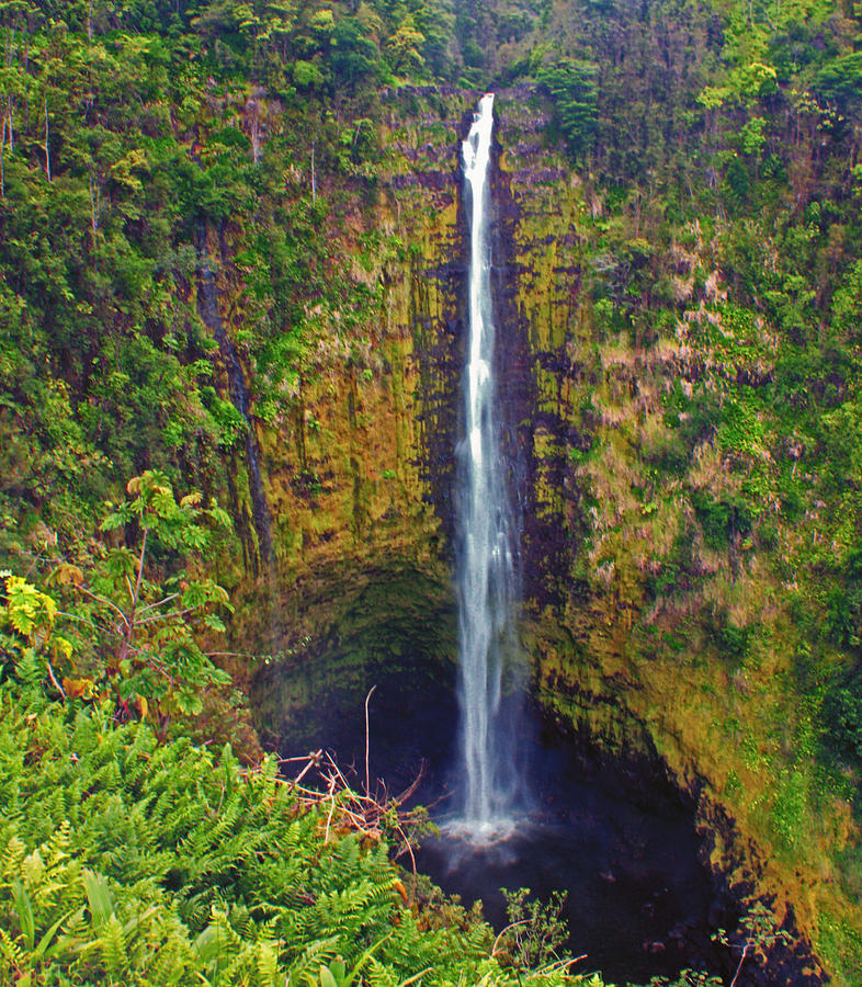 Akaka Falls Photograph by Brian Kerls