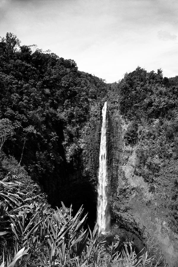 Akaka Falls - BW Photograph by Greg Vaughn - Printscapes