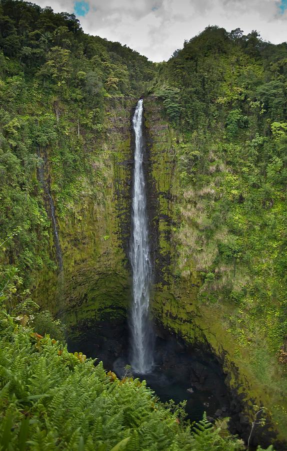 Akaka Falls Photograph by Craig Watanabe - Fine Art America