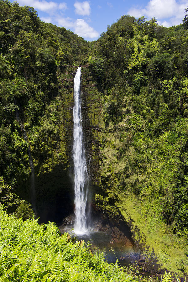 Akaka Falls Photograph by Mike Herdering | Fine Art America