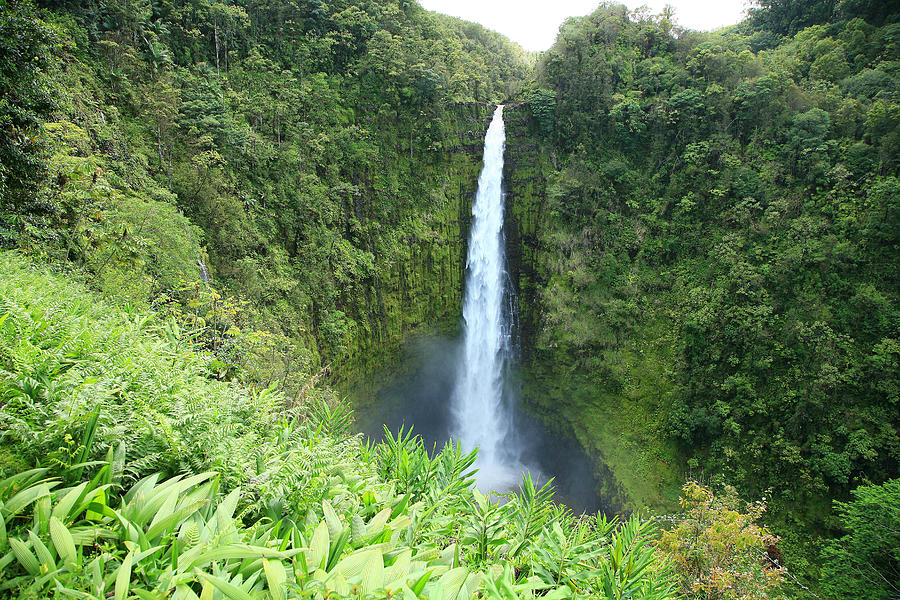 Cool Photograph - Akaka Falls by Peter French - Printscapes