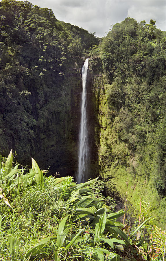 Waterfall Photograph - Akaka Falls  by Peter J Sucy
