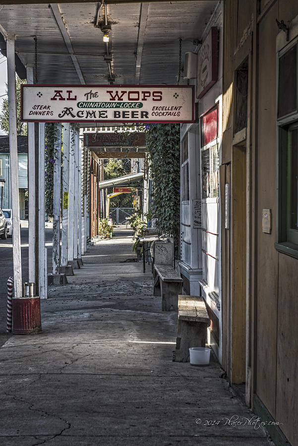 Al The Wops Photograph - Al the Wops by Jim Thompson