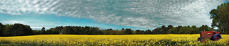Alabama Canola Field And Old Tractor Pano Photograph by Kathy Clark