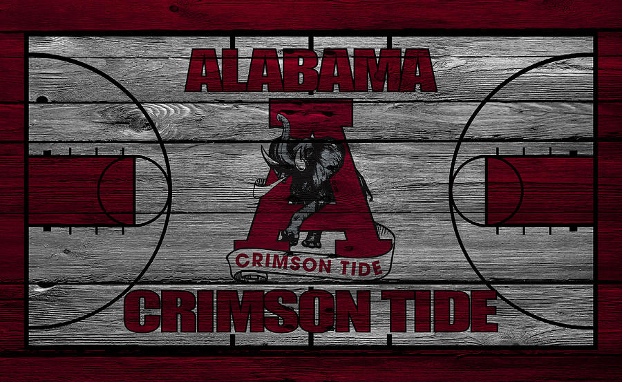 Alabama Crimson Tide Photograph by Joe Hamilton - Fine Art America