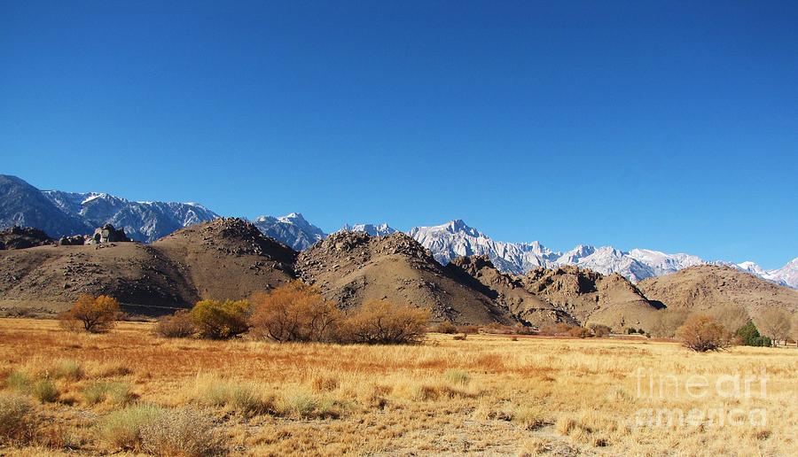 Alabama Hills Photograph by Michele Penner