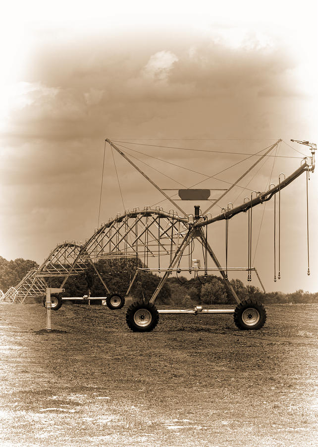 Alabama Irrigation System Vignette Photograph by Kathy Clark