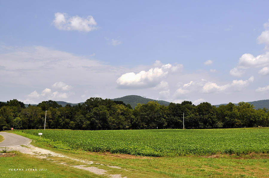 Alabama Mountains 3 Photograph by Verana Stark