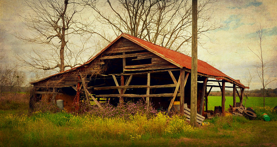 Alabama Pole Barn Photograph by Carla Parris