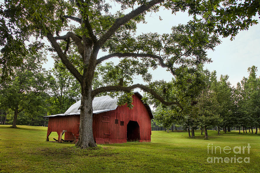 Alabama Red Barn  Photograph by T Lowry Wilson