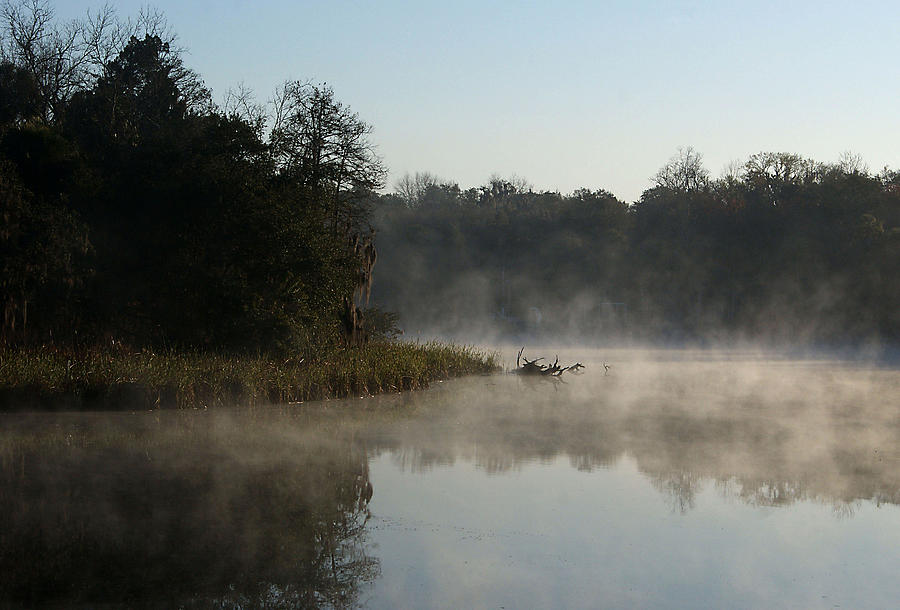 Alafia River Photograph by Chauncy Holmes