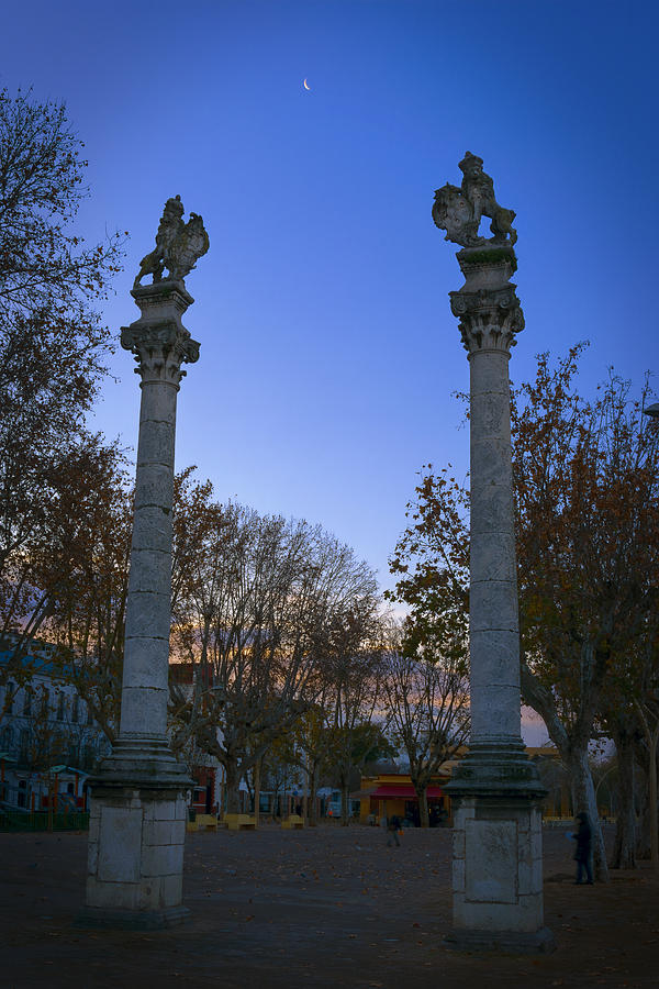 Alameda de Hercules Photograph by Joan Carroll