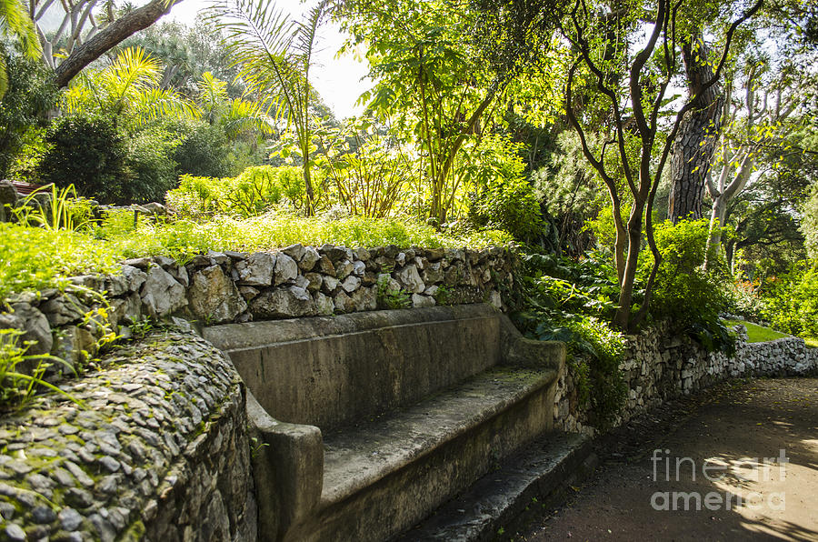 Alameda Gardens Stone Bench Photograph by Deborah Smolinske