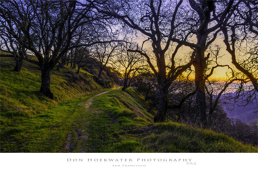 Alamo Hills Photograph by Don Hoekwater Photography