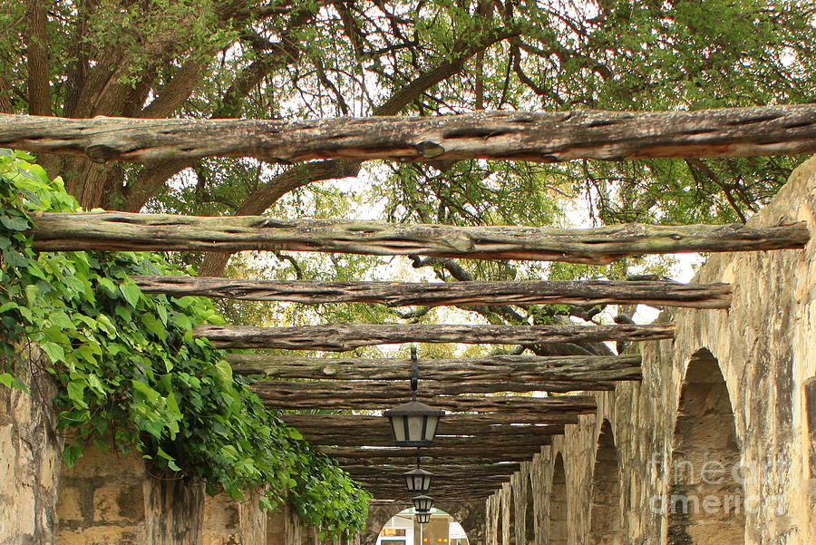 Alamo Walkway Photograph by Carol Groenen