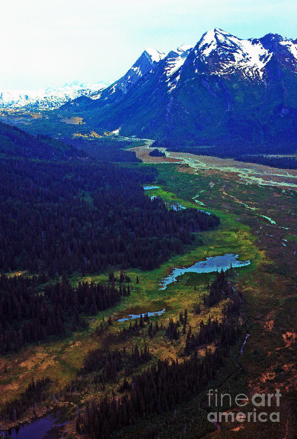 Alaska Aerial Photograph by Thomas R Fletcher