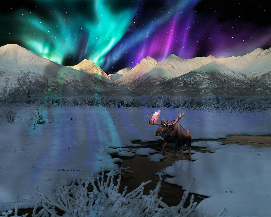 Alaska Aurora Knik River Road Bull Moose DA Digital Art By Dianne Roberson Fine Art America