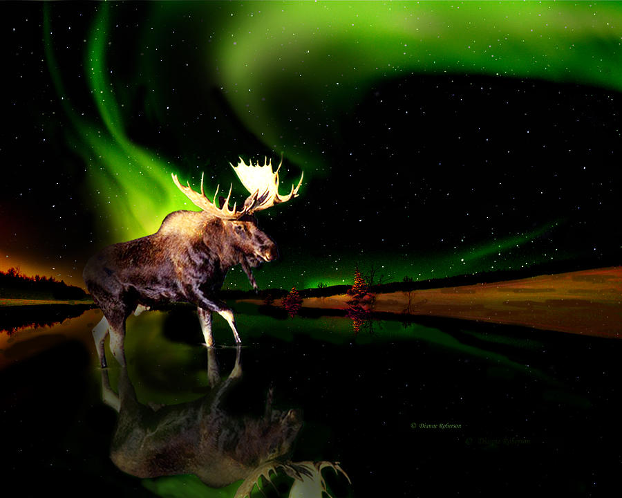 Animal Digital Art - Alaska Aurora Moose Walk # DA 102 by Dianne Roberson