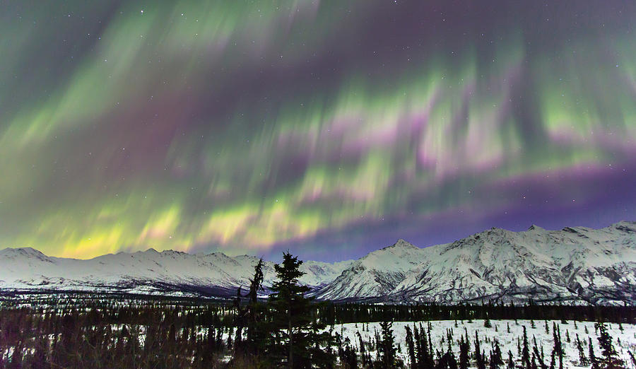 Mountain Photograph - Alaska Aurora Over the Chugach Mountains by Sam Amato