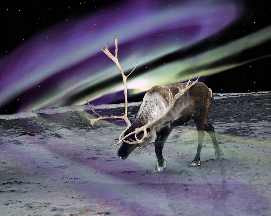 Animal Digital Art - Alaska Aurora Reindeer Circles by Dianne Roberson