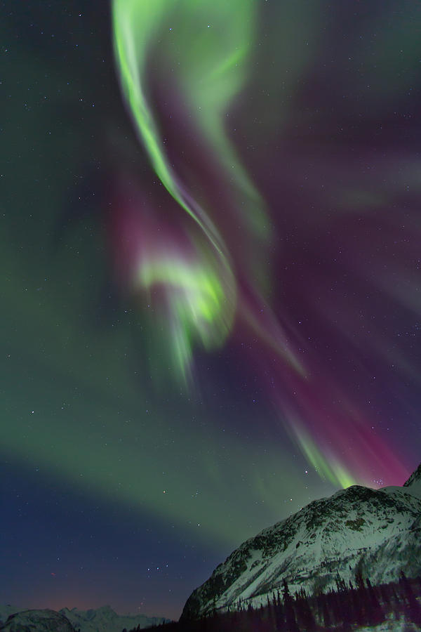 Alaska Aurora Photograph by Sam Amato